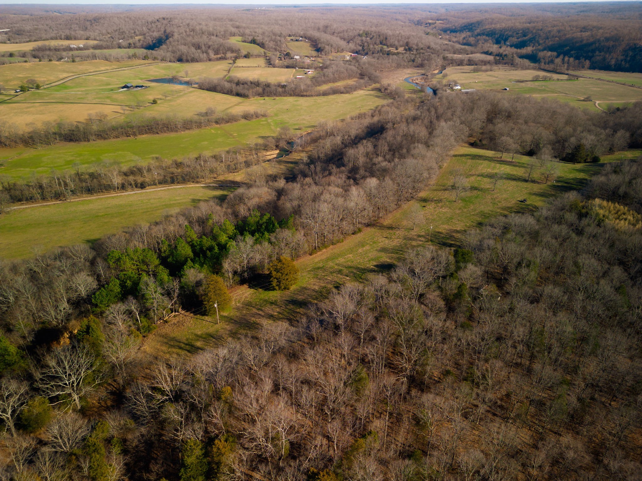 1 Primm Springs Road Lyles, TN 37098 - Photo 5 of 24 an aerial view of residential houses with outdoor space and trees
