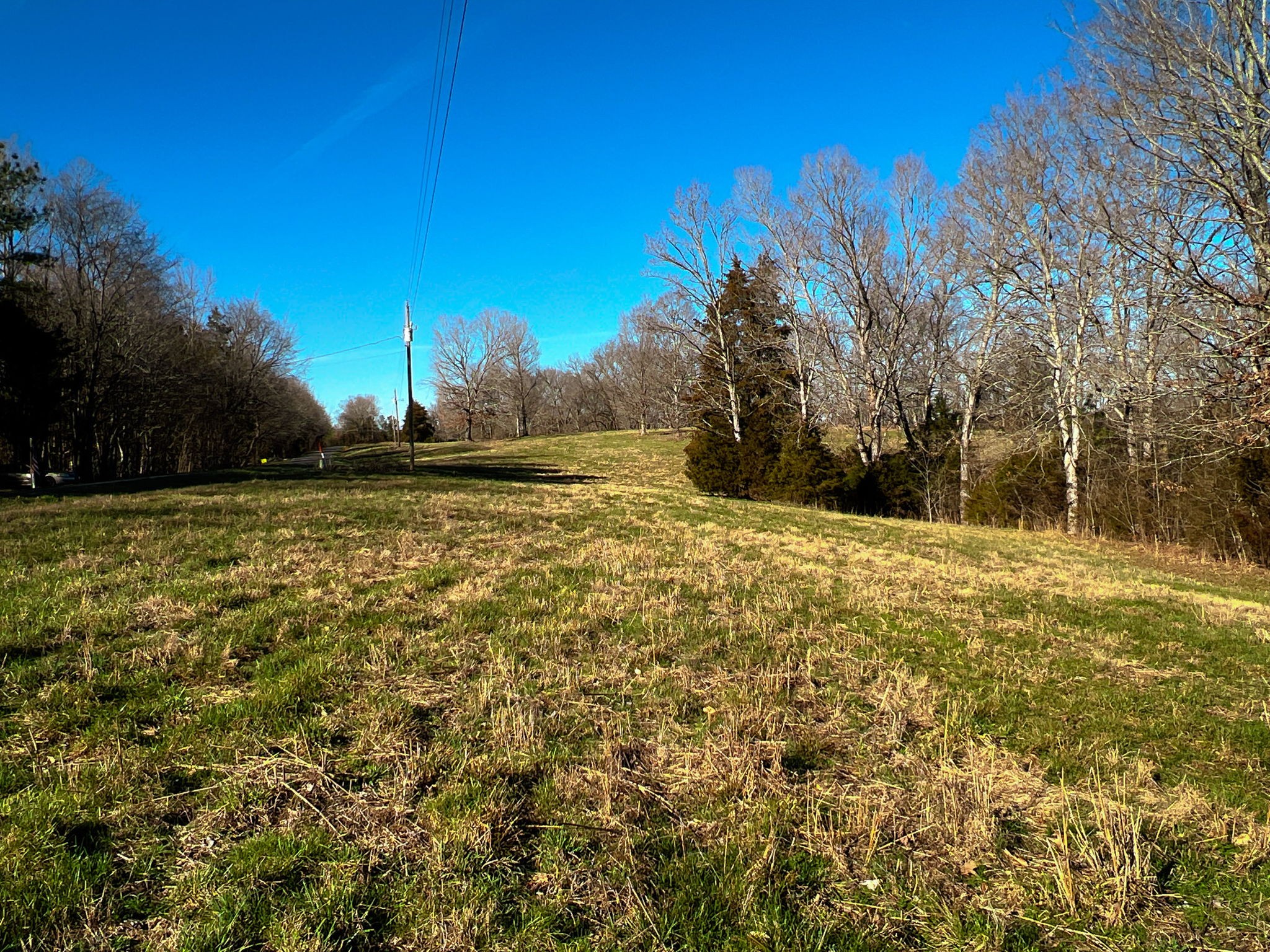 1 Primm Springs Road Lyles, TN 37098 - Photo 8 of 24 a view of a yard with a house