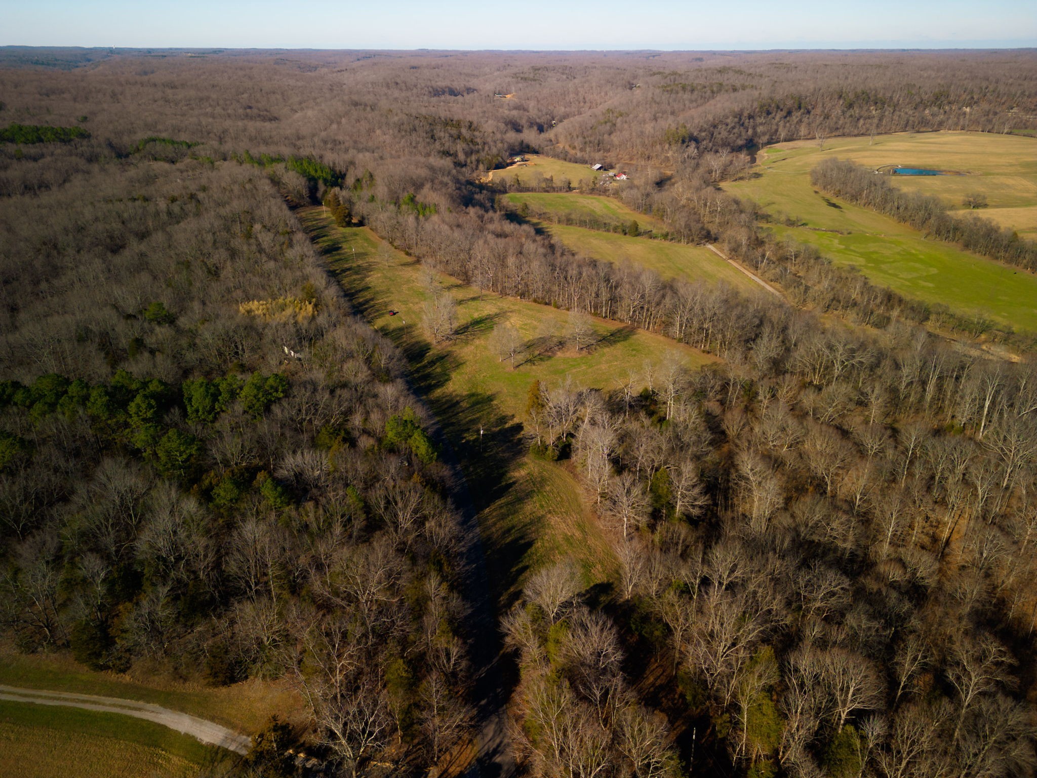 1 Primm Springs Road Lyles, TN 37098 - Photo 10 of 24 a view of a field with trees in the background