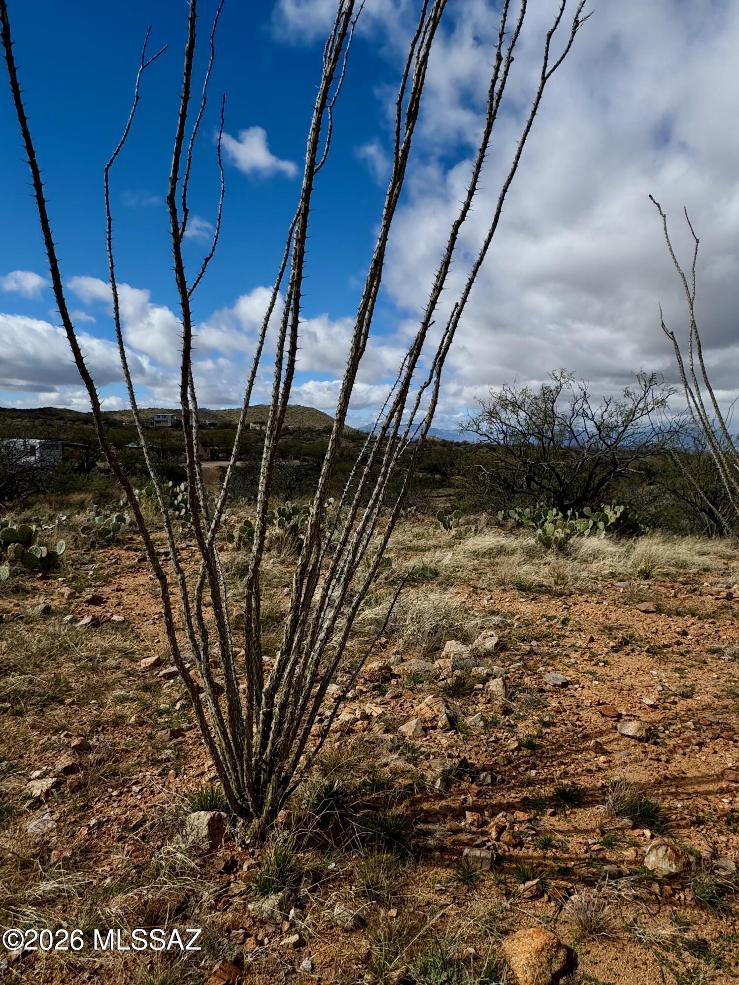 0 South Sierrita Mountain Road Tucson, AZ 85736 - Photo 19 of 24
