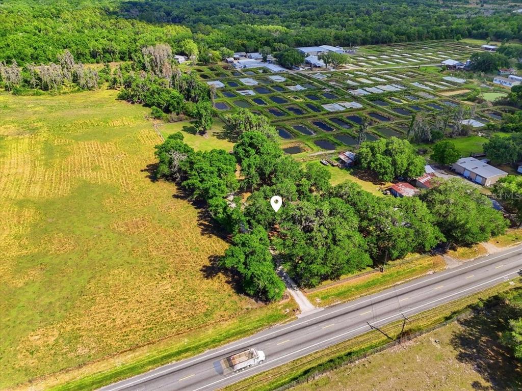 4205 North Combee Road Lakeland, FL 33805 - Photo 50 of 52 Gallery Image 50