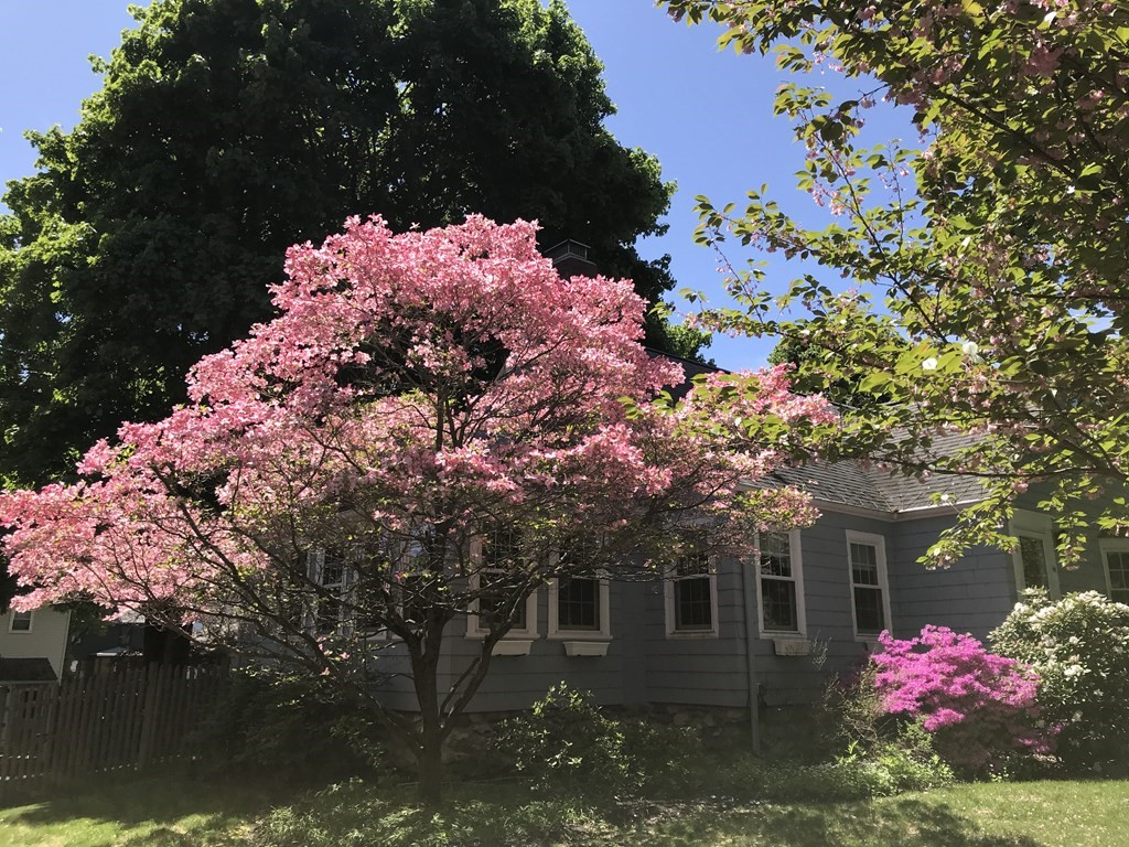 14 Wahnita Road Worcester, MA 01606 - Photo 2 of 39 Gallery Image 2