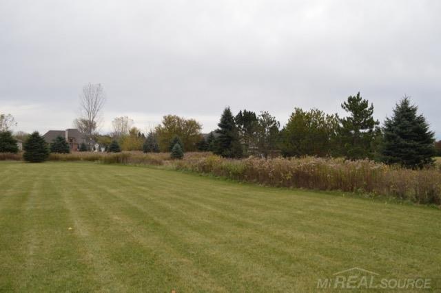 0 Gould Romeo, MI 48065 - Photo 10 of 15
