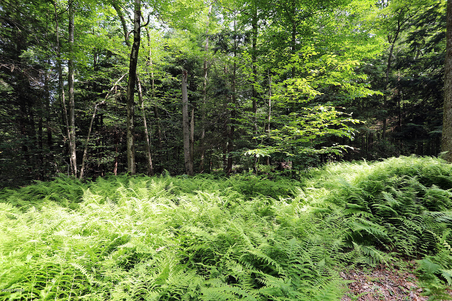 0 Minckler Mountain Road Equinunk, PA 18417 - Photo 29 of 39