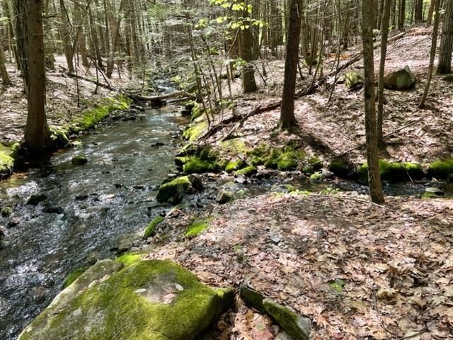0 Hill Road Temple, NH 03084 - Photo 1 of 6 Gallery Image 1