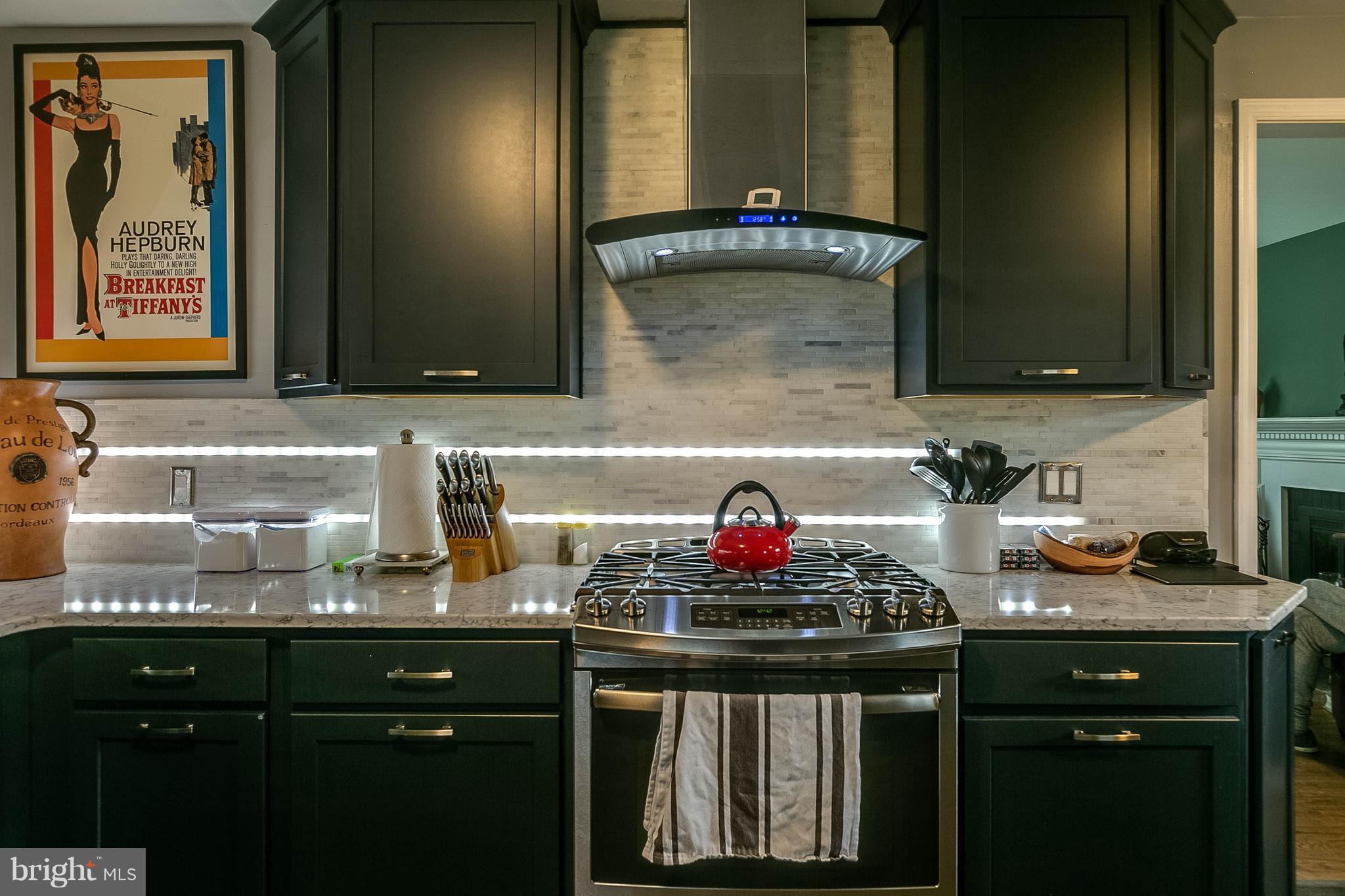 910 Gabel Street Silver Spring, MD 20901 - Photo 5 of 28 Check out the back light in the back splash!