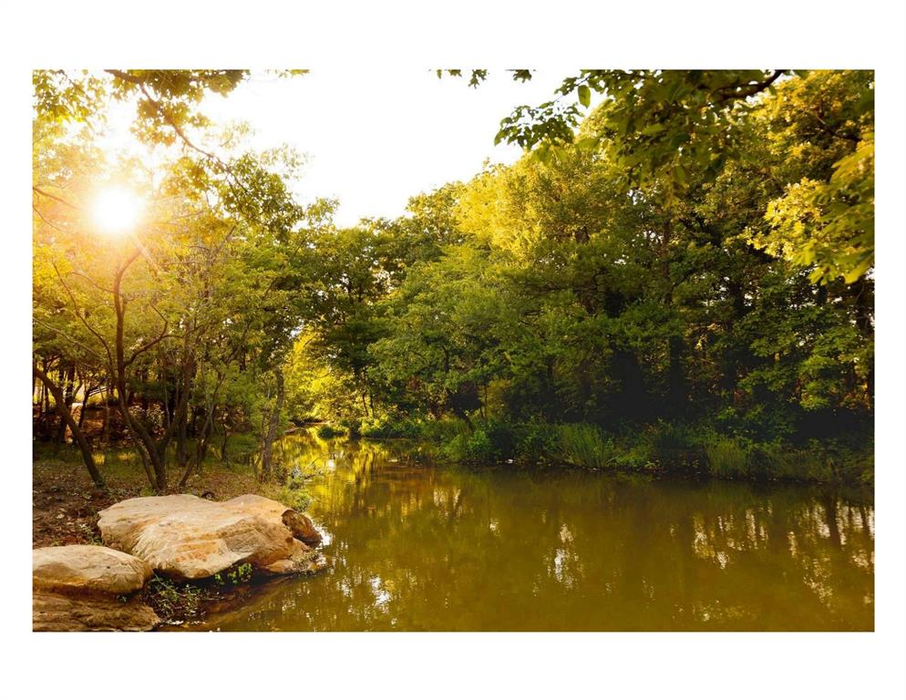 4311 Windy Point Road Oak Point, TX 75068 - Photo 36 of 38