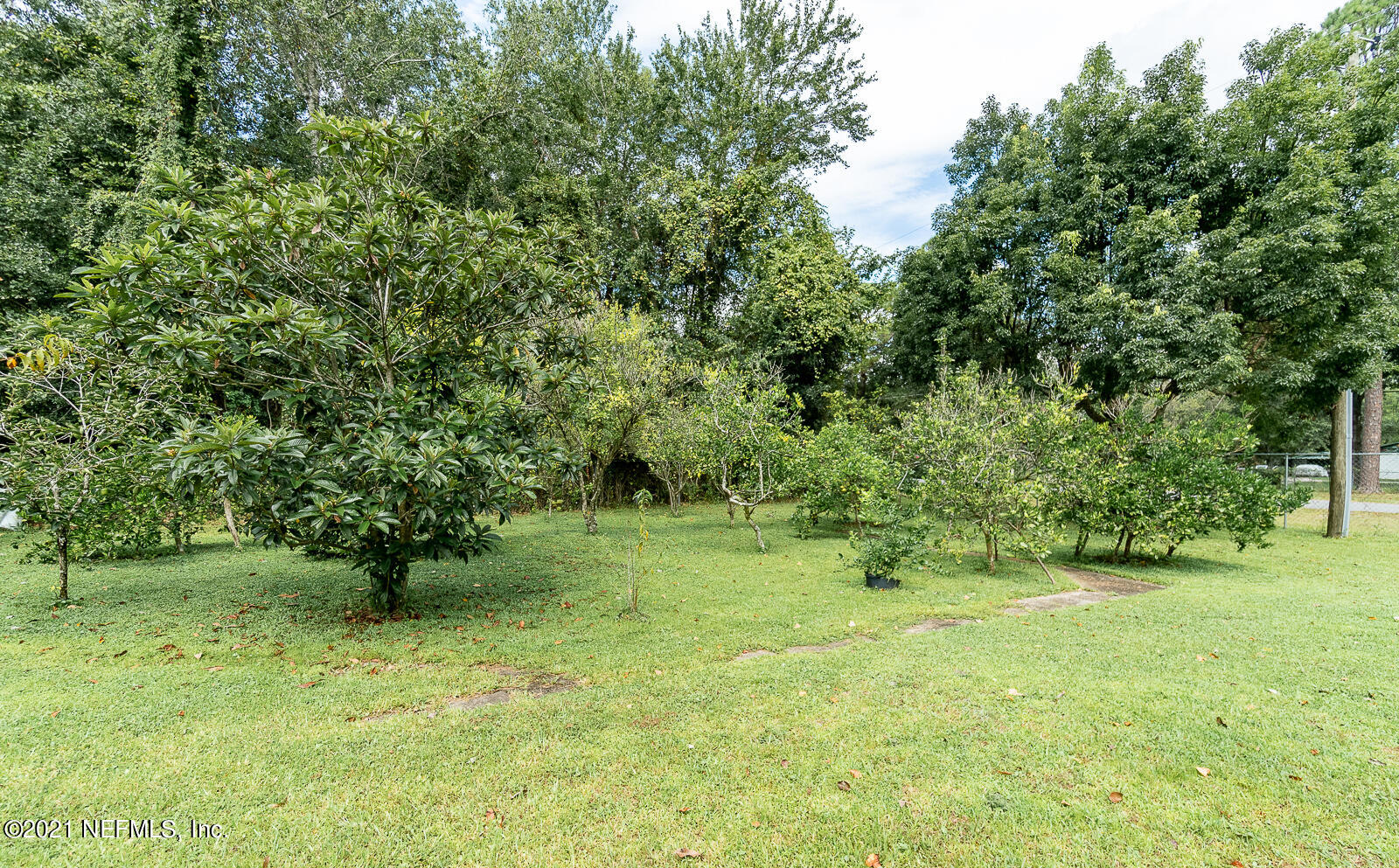 3963 Pinto Road Middleburg, FL 32068 - Photo 36 of 41 Pinto Ext Citrus Trees
