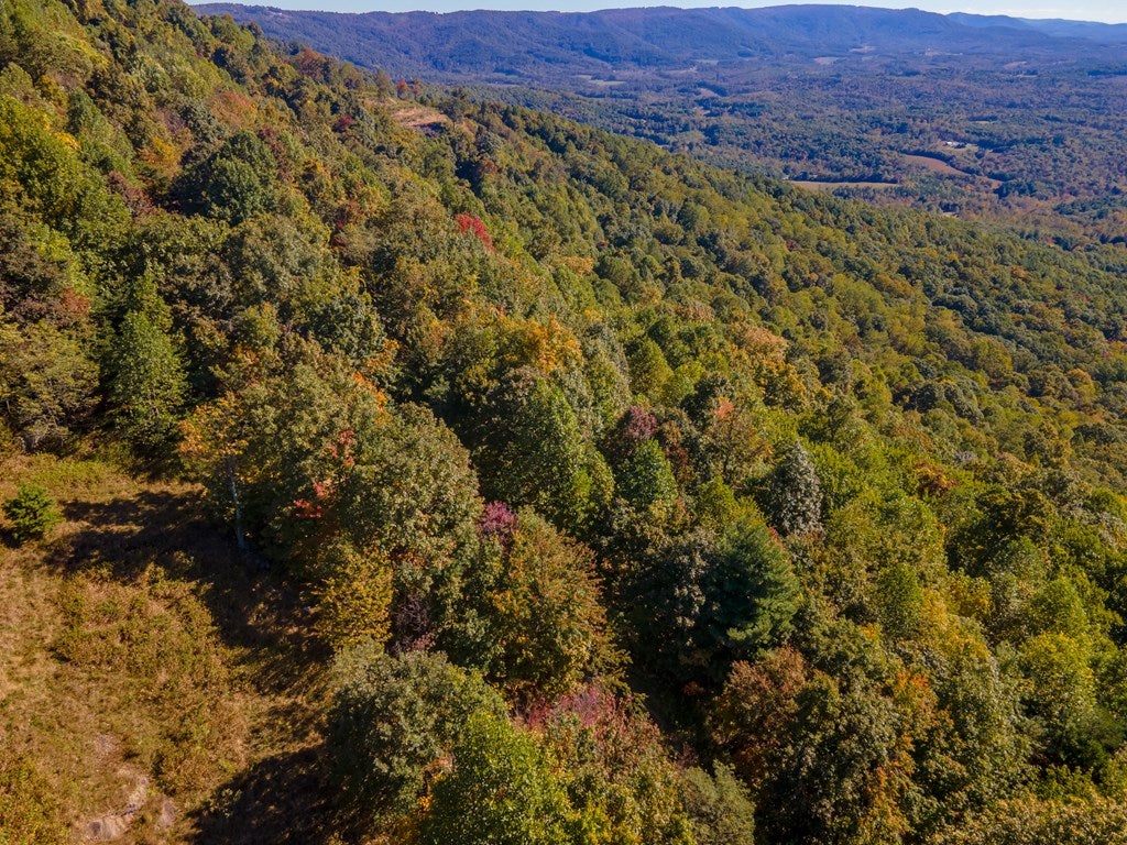 Lot 93 Reflections Point Trail, Unit 93 Fancy Gap, VA 24328 - Photo 10 of 92 Gallery Image 10