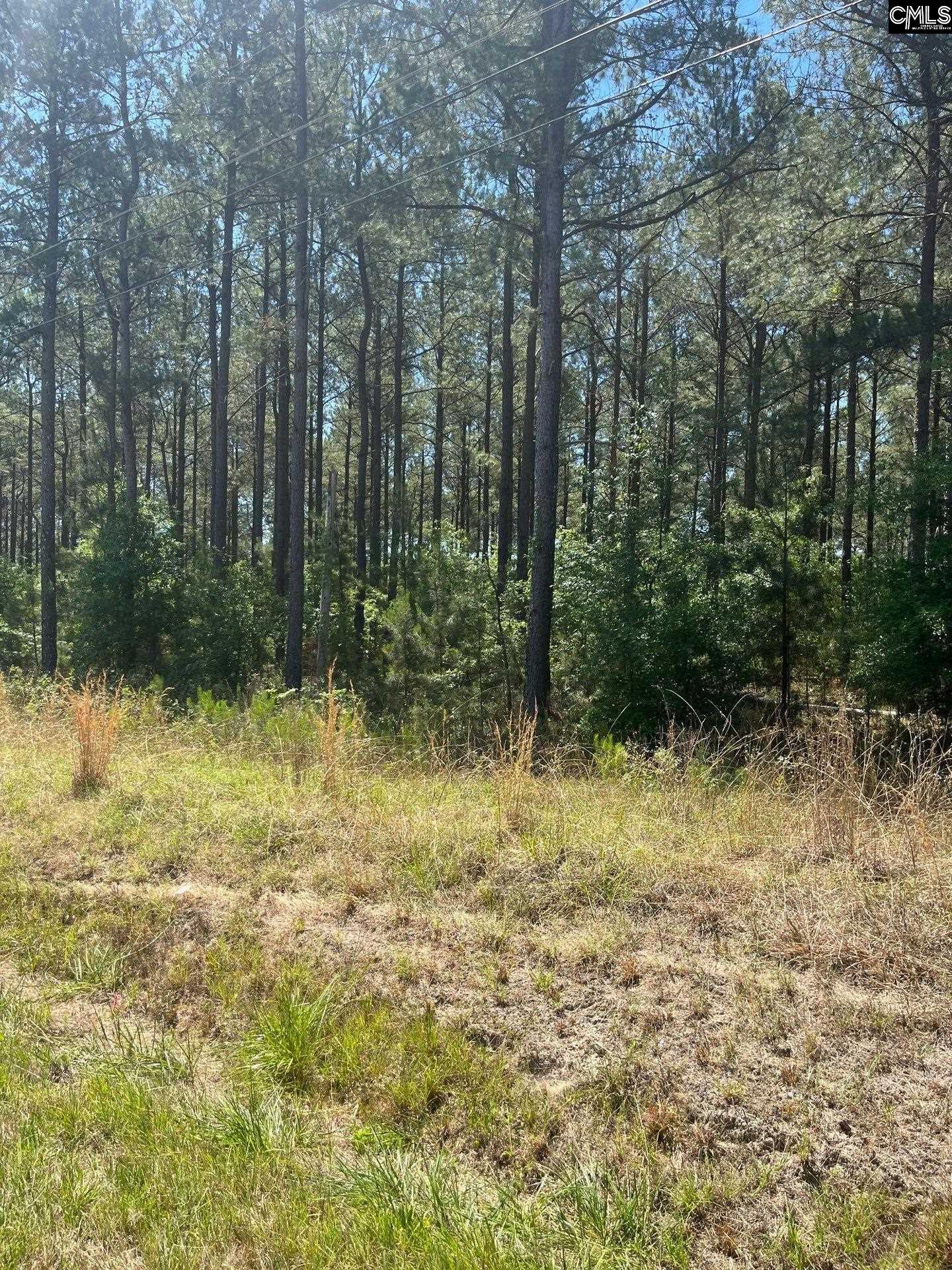 1 Salley Road Salley, SC 29137 - Photo 5 of 15 Gallery Image 5