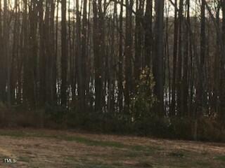 675 Anderson Creek Road Henderson, NC 27537 - Photo 62 of 62 675 Anderson Creek 3