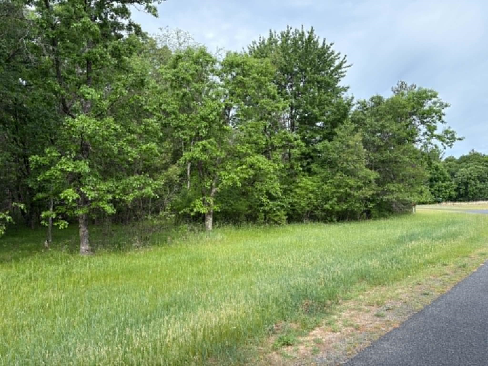 Lot 13 19th Friendship, WI 53934 - Photo 1 of 18