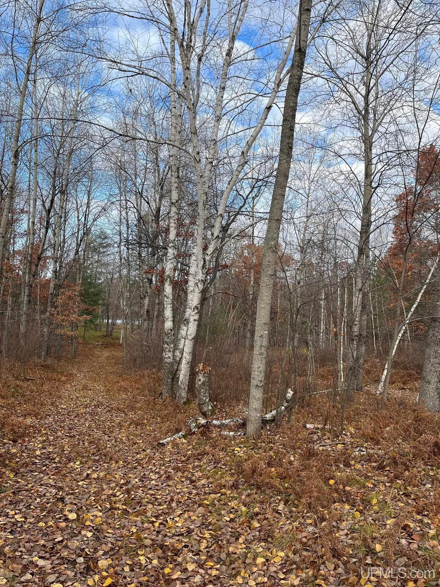 41 & 42 Frog Lake Road Florence, WI 54121 - Photo 6 of 7