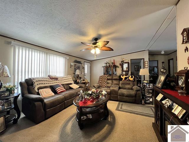 820 3rd Street Hazel, KY 42049 - Photo 4 of 27 Living Room