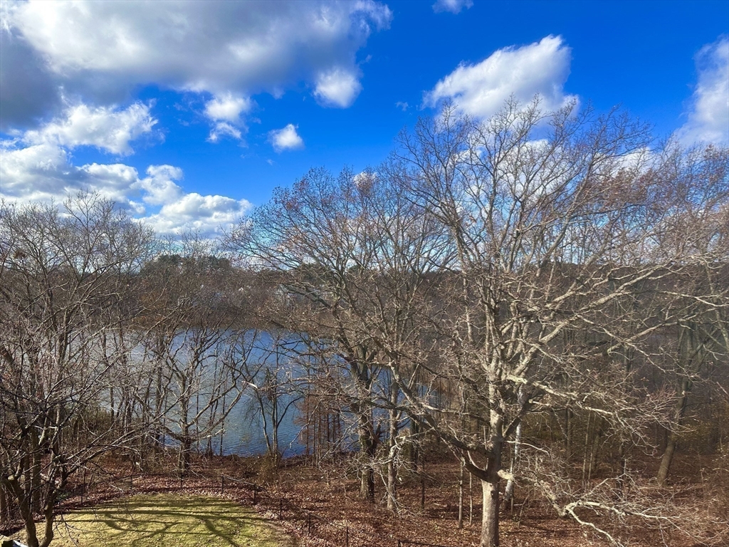 46 Cochituate Road, Unit 408 Framingham, MA 01701 - Photo 16 of 20 a view of mountain view with large trees