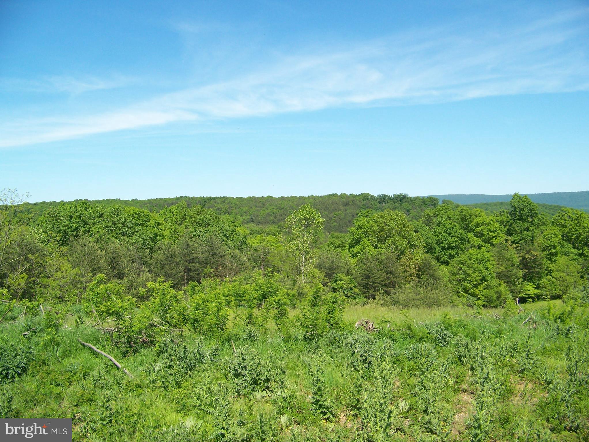Luther Michael Road Berkeley Springs, WV 25411 - Photo 13 of 30 PURPOSED HOMESITE LOOKING EAST