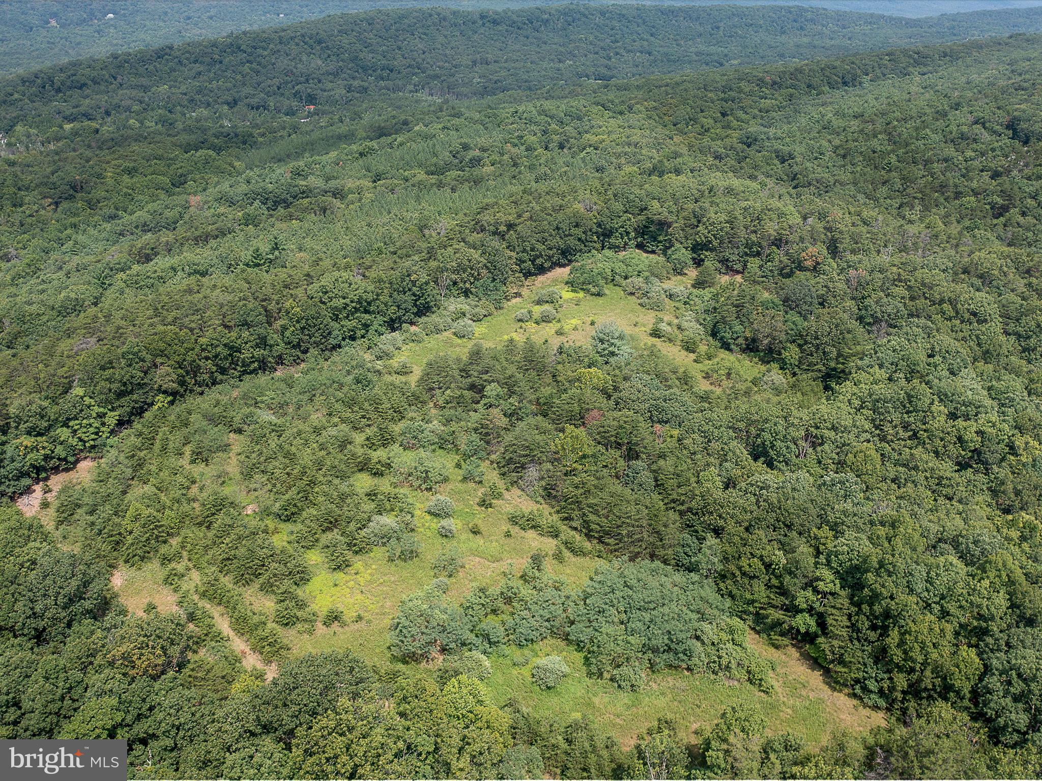 Luther Michael Road Berkeley Springs, WV 25411 - Photo 21 of 30