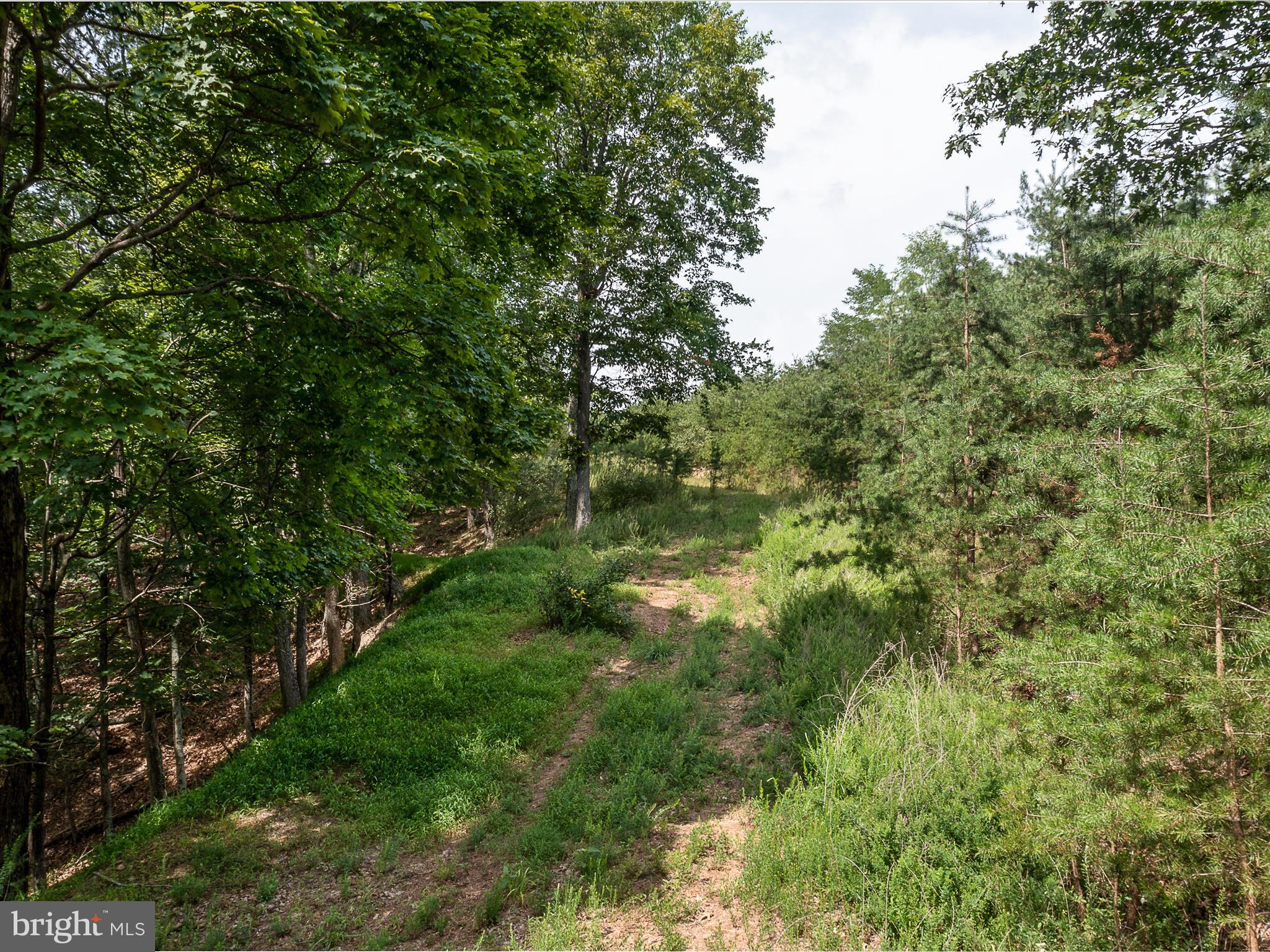 Luther Michael Road Berkeley Springs, WV 25411 - Photo 28 of 30