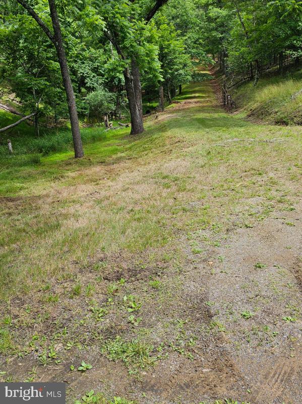 Luther Michael Road Berkeley Springs, WV 25411 - Photo 3 of 30 DRIVEWAY
