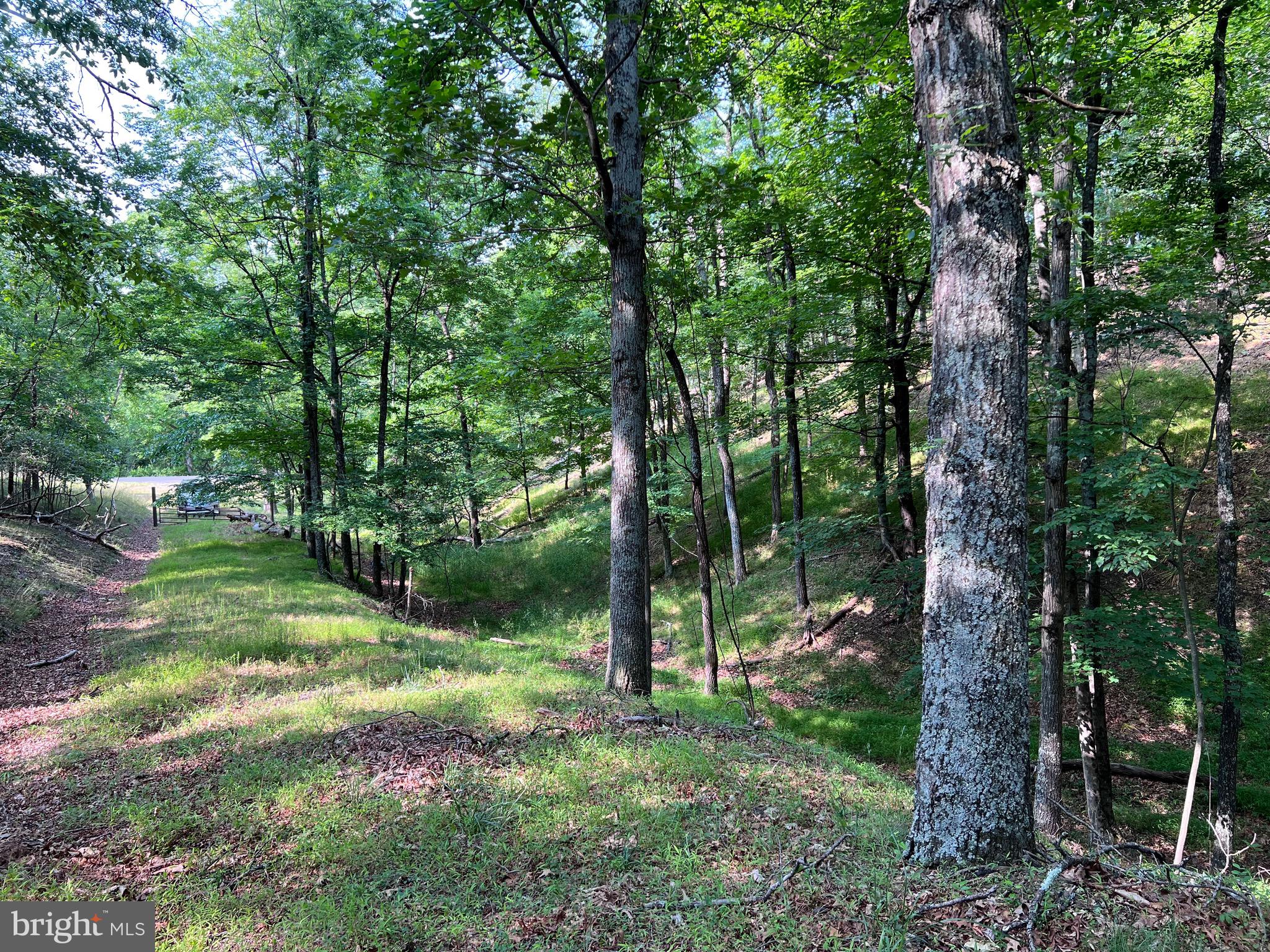 Luther Michael Road Berkeley Springs, WV 25411 - Photo 5 of 30
