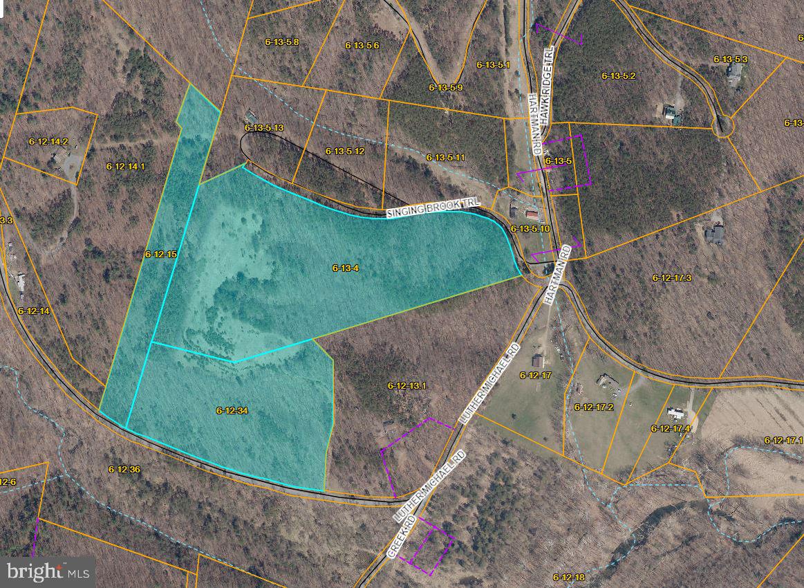 Luther Michael Road Berkeley Springs, WV 25411 - Photo 7 of 30 3 PARCELS FOR SALE