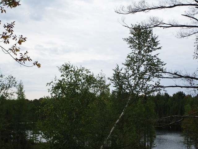 Lot 1 Double Ee Road Park Falls, WI 54552 - Photo 8 of 8 Gallery Image 8