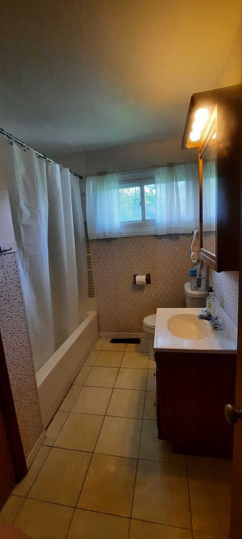 240 West Tower Road Barrington, IL 60010 - Photo 9 of 17 a bathroom with a sink a mirror and shower