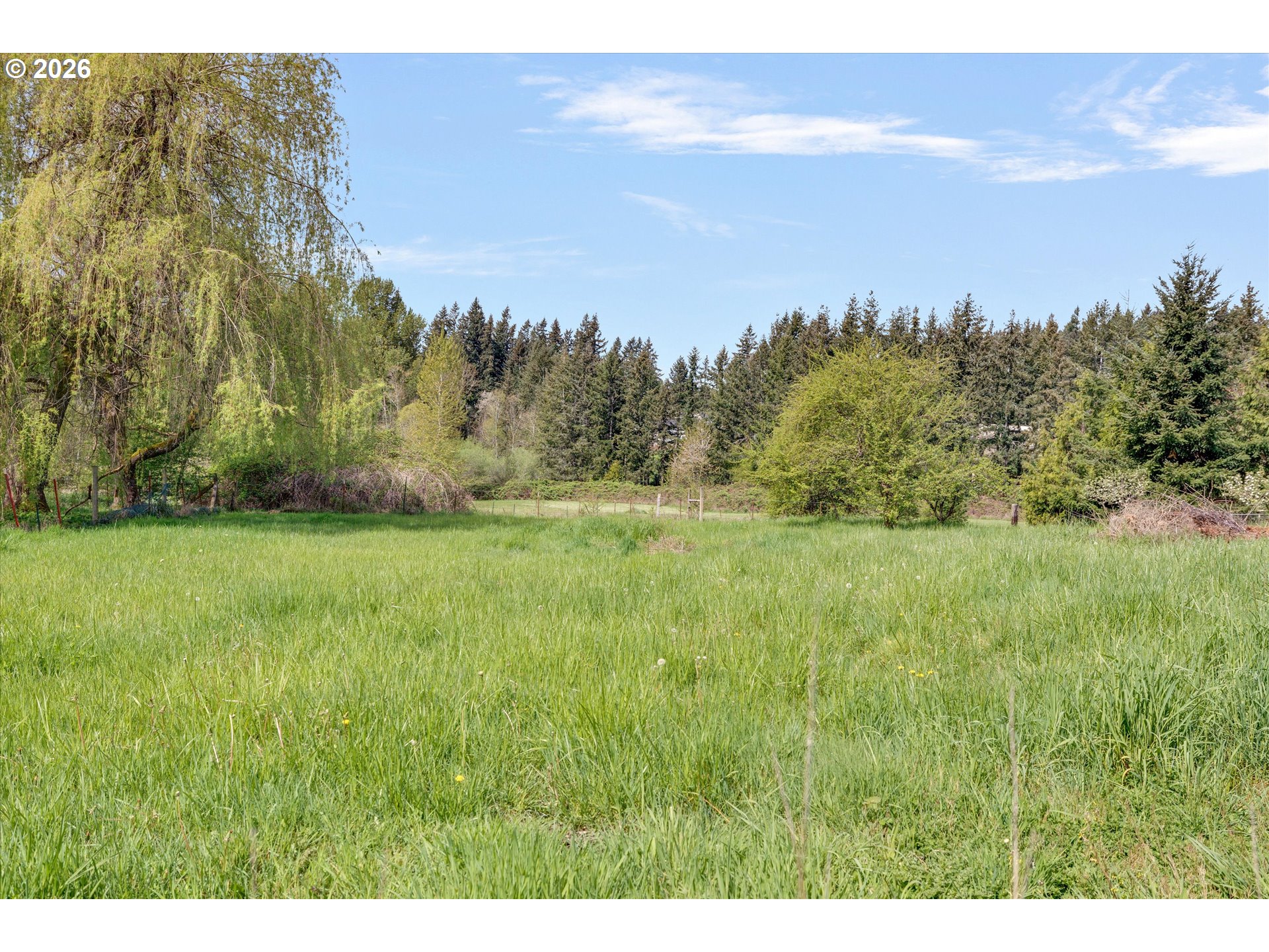 17139 South Bradley Road Oregon City, OR 97045 - Photo 34 of 47 a view of a big yard with a large tree