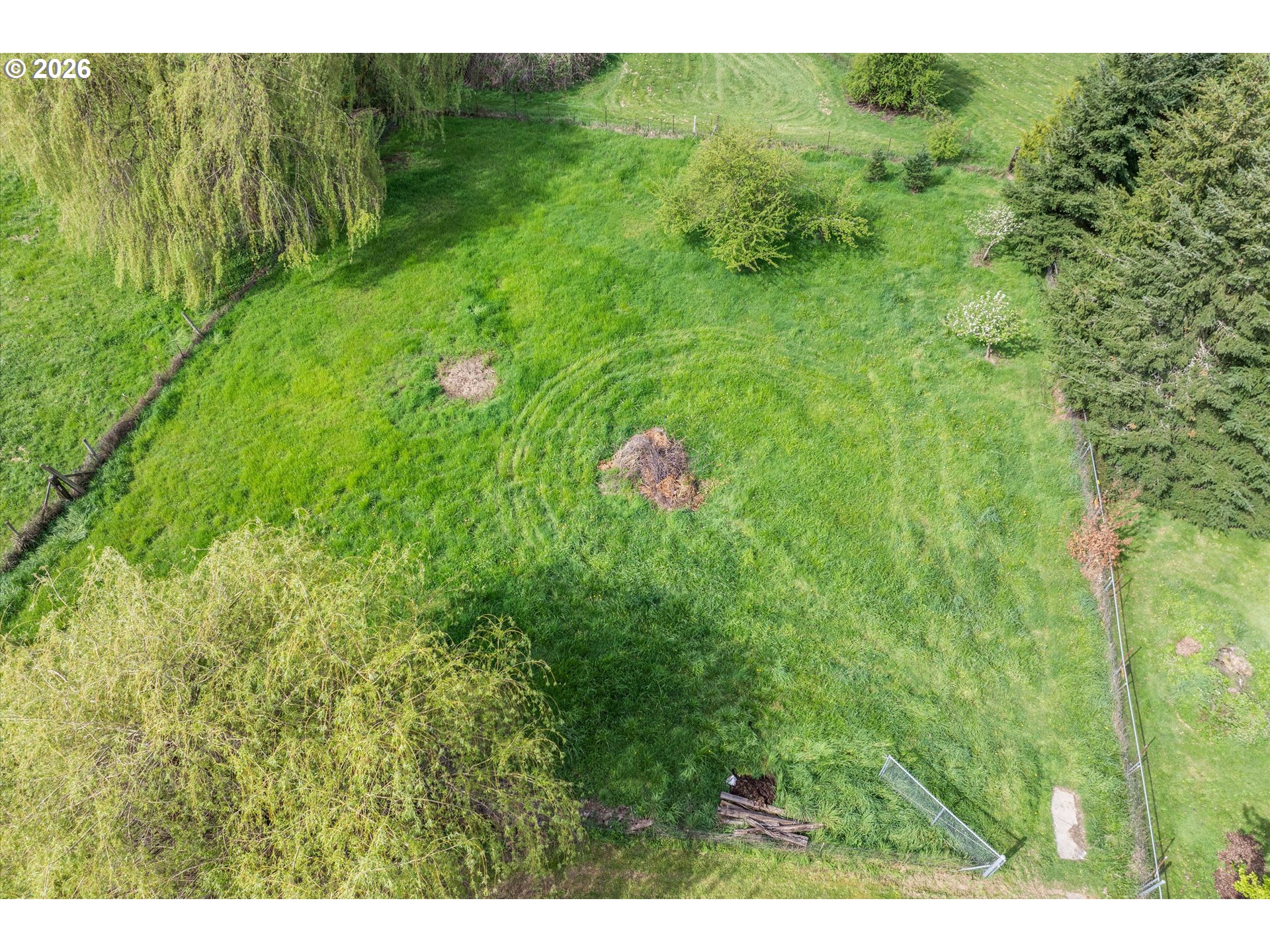 17139 South Bradley Road Oregon City, OR 97045 - Photo 35 of 47 a view of a lush green forest with trees in the background