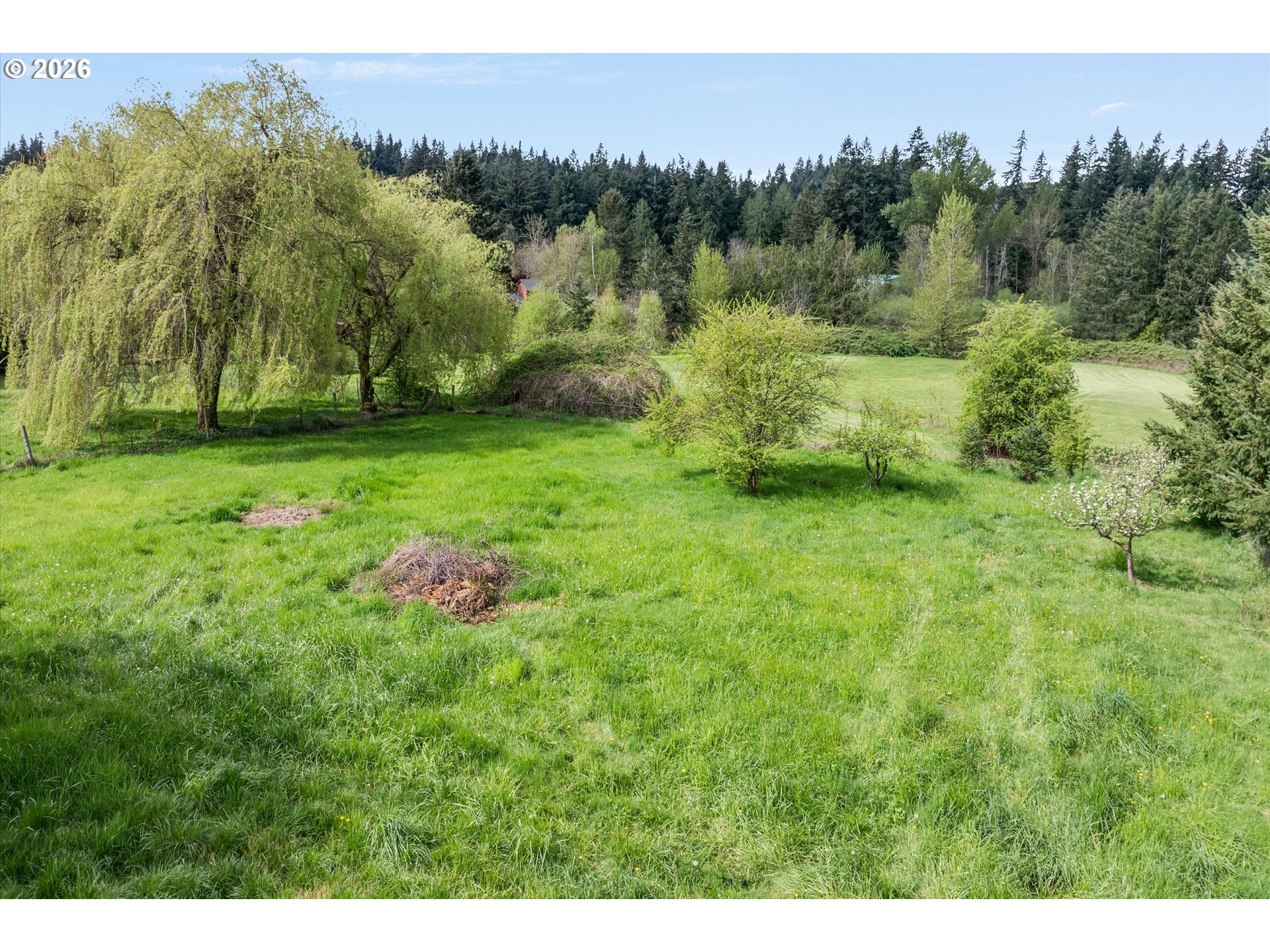 17139 South Bradley Road Oregon City, OR 97045 - Photo 36 of 47 a fire hydrant in the middle of a field
