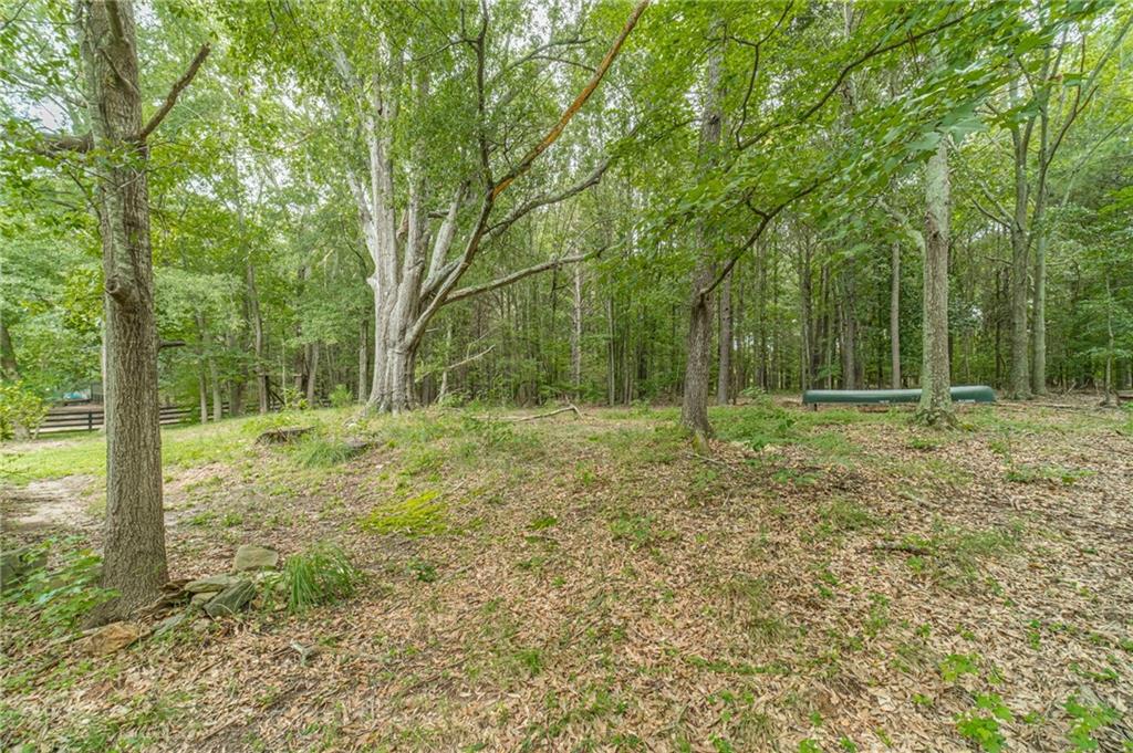 3791 Double Springs Road Southwest Monroe, GA 30656 - Photo 56 of 60