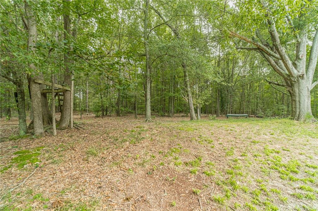 3791 Double Springs Road Southwest Monroe, GA 30656 - Photo 57 of 60