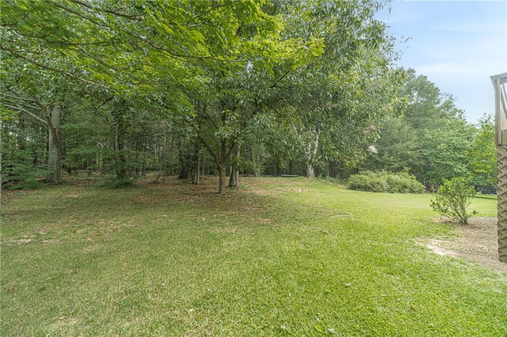3791 Double Springs Road Southwest Monroe, GA 30656 - Photo 58 of 60