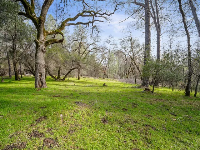 a huge green field with lots of trees