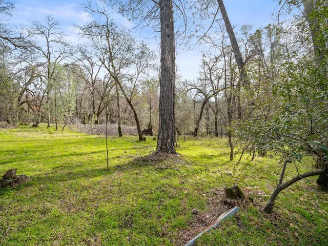 a view of yard with swimming pool