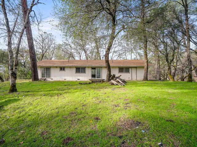a front view of a house with yard and green space