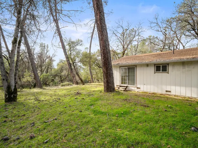 a view of a yard with a house and large tree