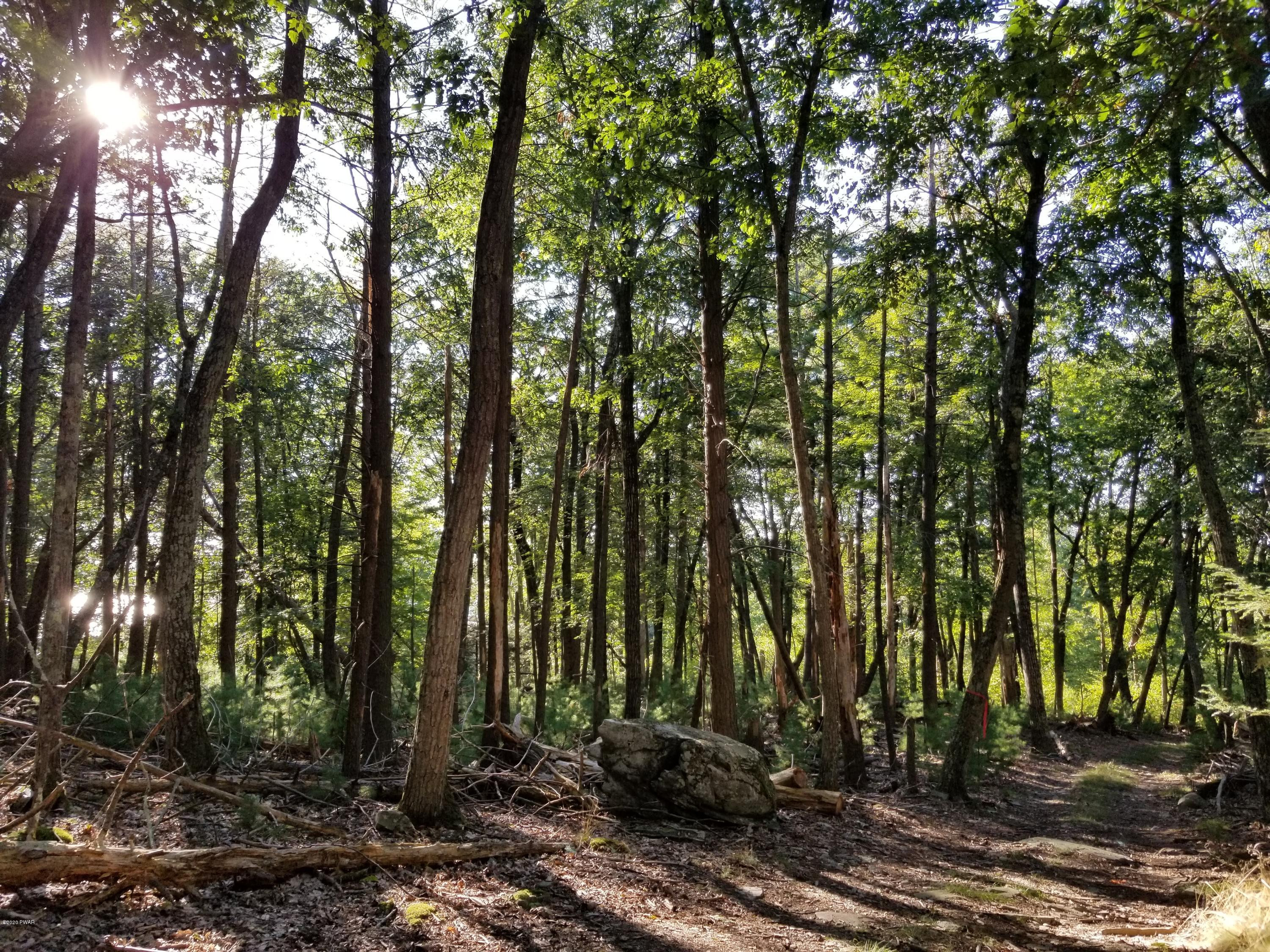 Coutts Point Drive Paupack, PA 18451 - Photo 16 of 22