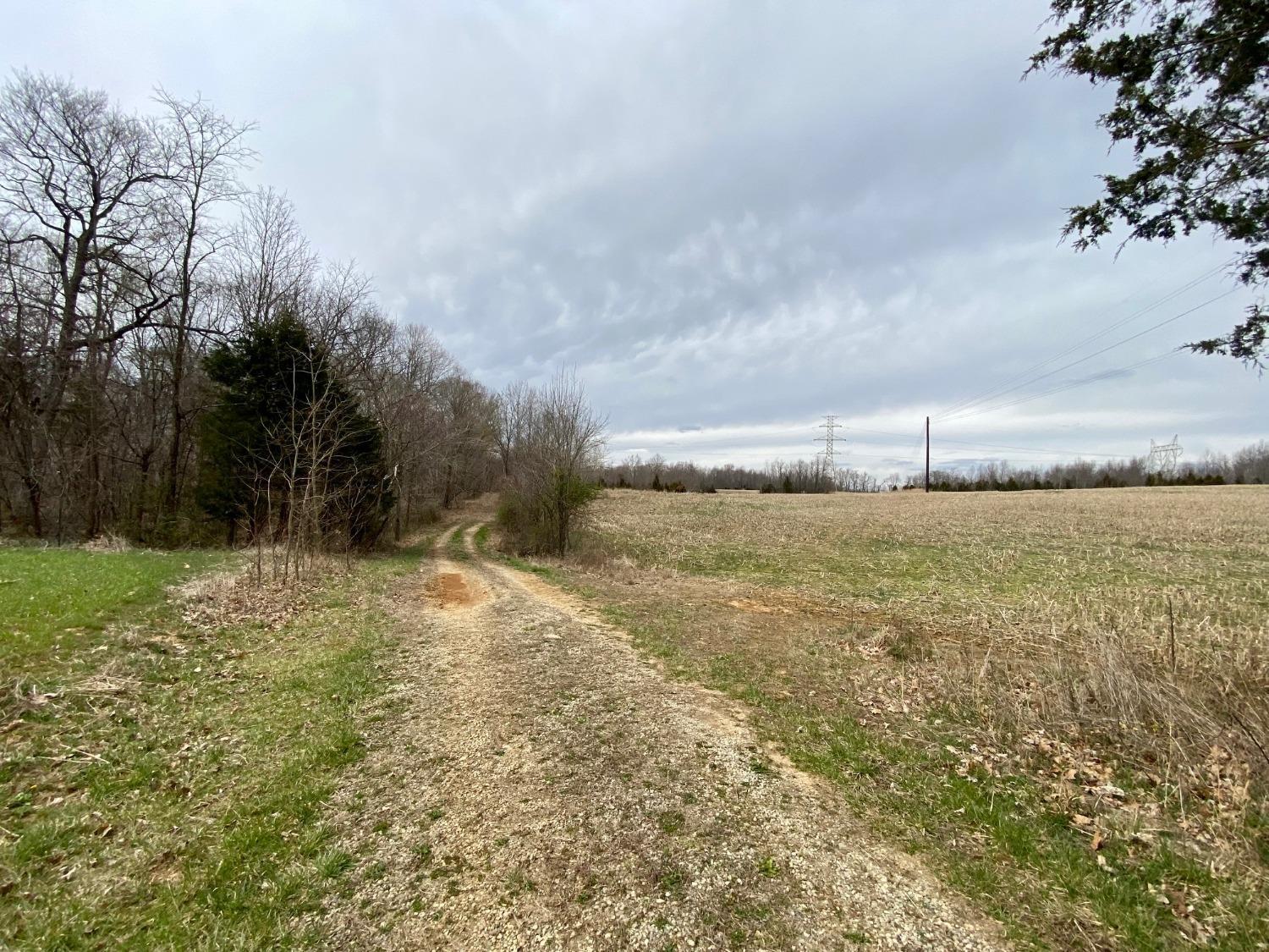 58.7-ac McCarty Road West Union, OH 45693 - Photo 1 of 17 Gallery Image 1