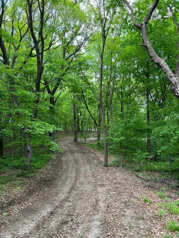 $199,900 | Xxx Acorn Road, Burtrum, MN 56318