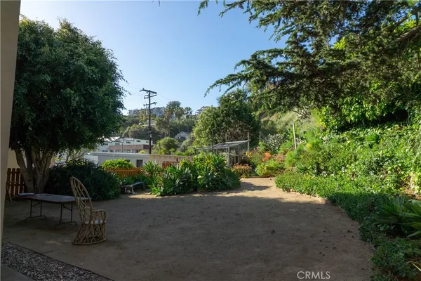 a view of a garden with a bench