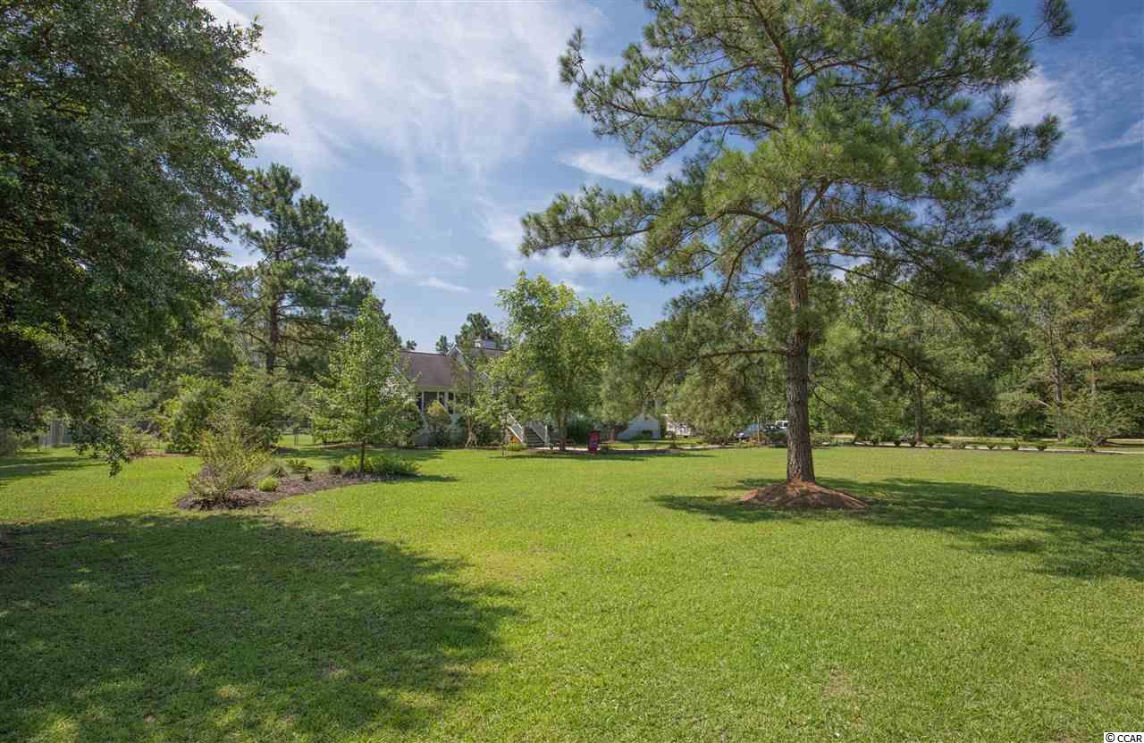 4461 Willow Springs Road Conway, SC 29527 - Photo 18 of 23 Gallery Image 18
