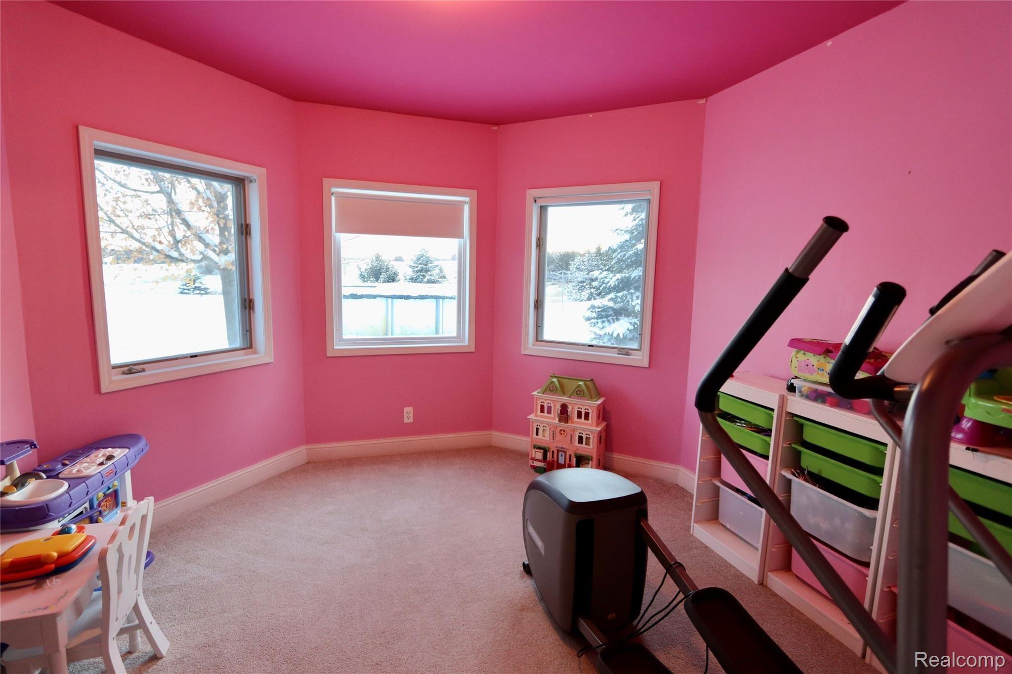 7751 Munsell Road Howell, MI 48843 - Photo 52 of 60 5th bedroom in lower level with large bump out windows.