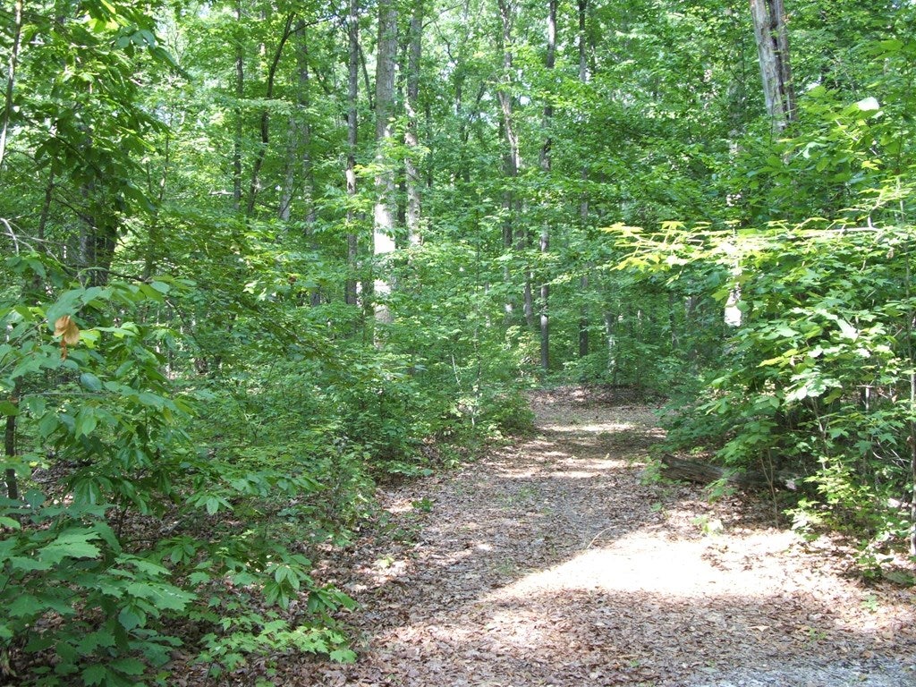 782 Walton Road Keysville, VA 23947 - Photo 4 of 7 Gallery Image 4