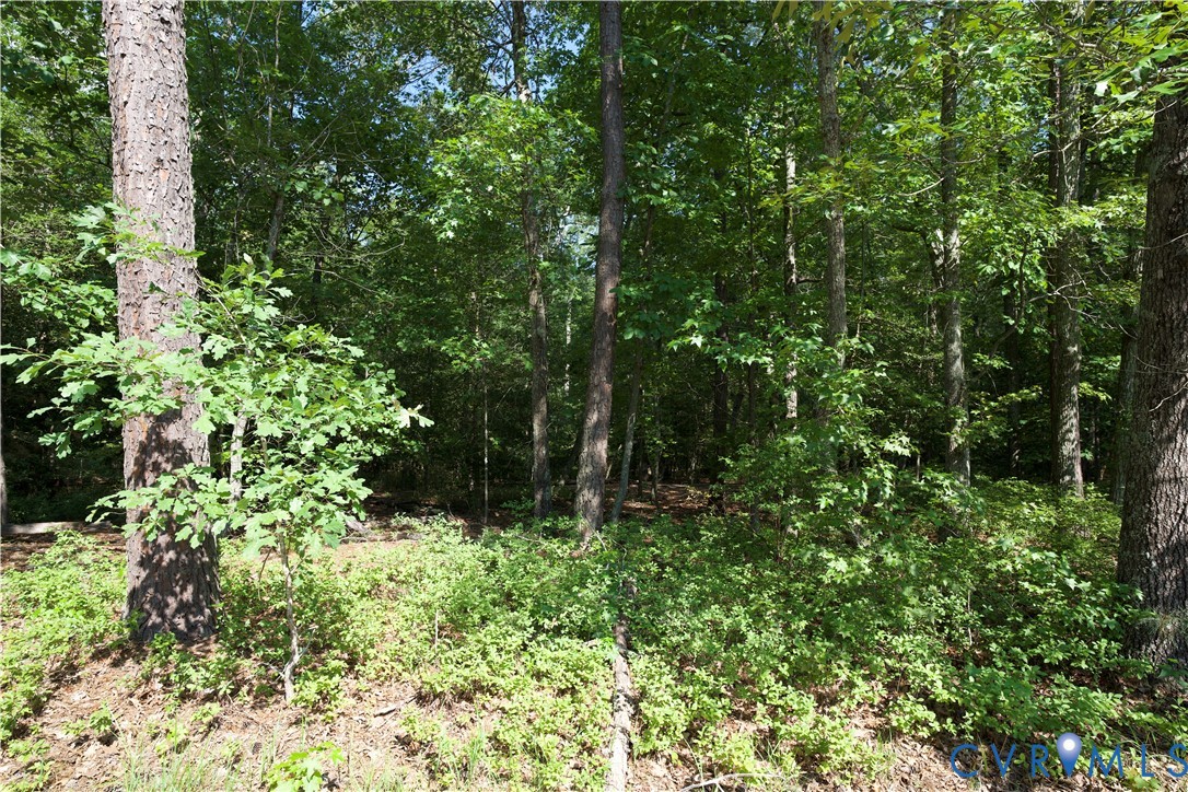 5901 Richland Road Chesterfield, VA 23832 - Photo 2 of 11