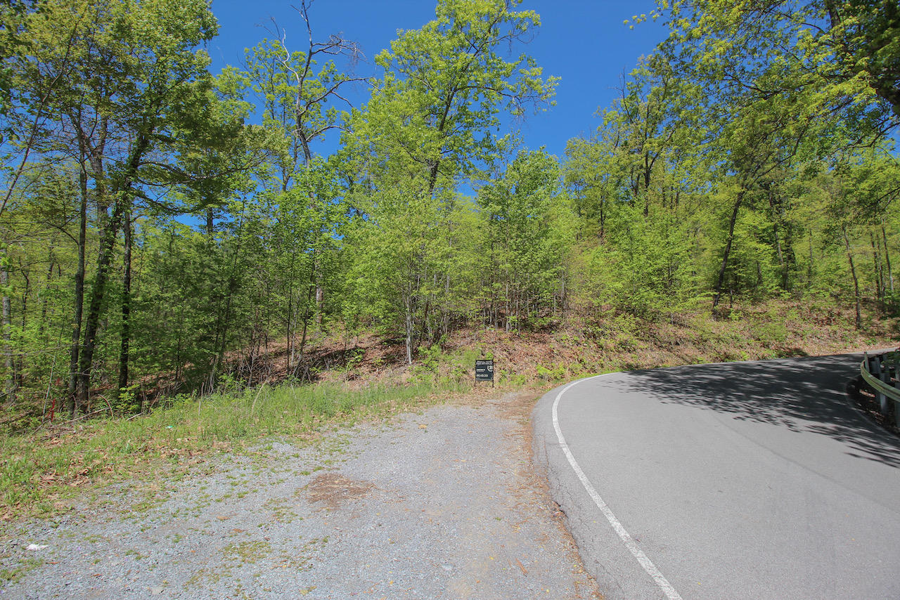 Lot 128 Bluff Mountain Road Sevierville, TN 37862 - Photo 1 of 15 112803C0-4BD1-4A9E-B367-5FD5EFAC2686