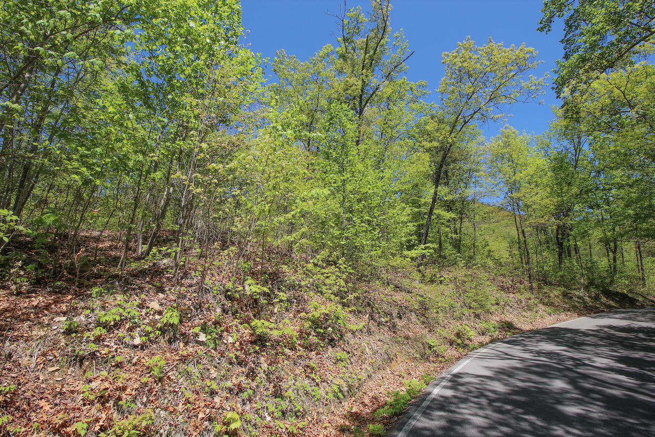Lot 128 Bluff Mountain Road Sevierville, TN 37862 - Photo 2 of 15 6740AB74-4E4D-443C-9D58-F51A7BF637B4