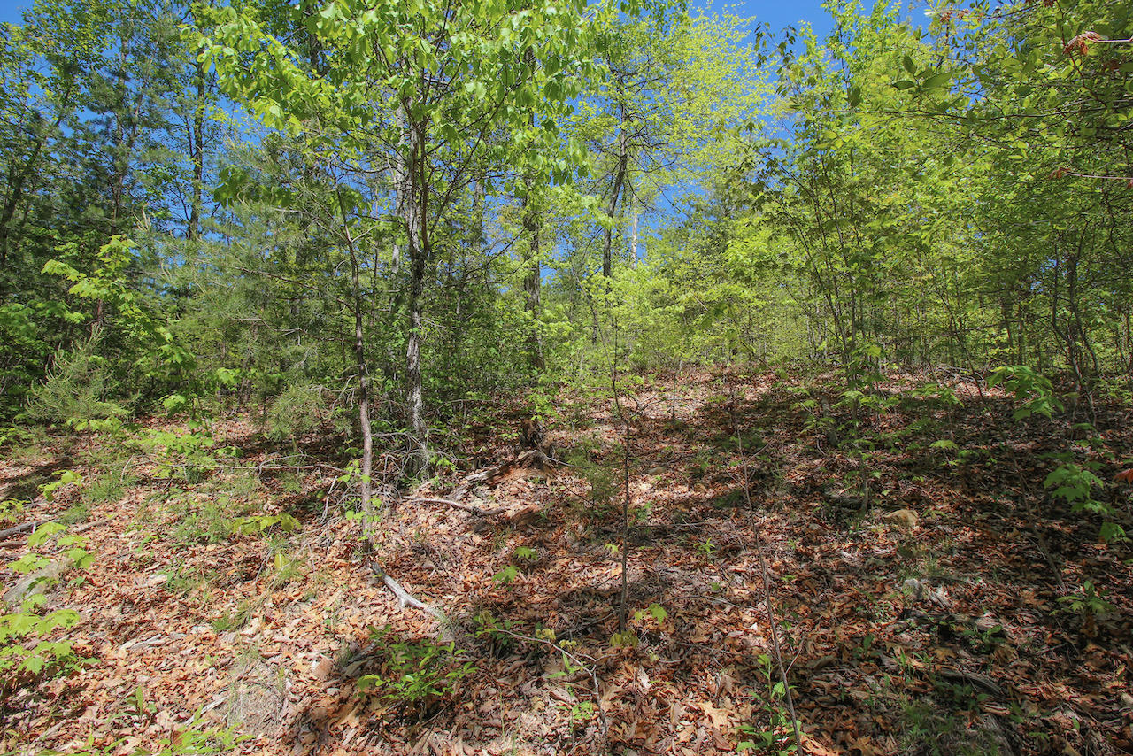 Lot 128 Bluff Mountain Road Sevierville, TN 37862 - Photo 3 of 15 7445A0AF-ABCE-40DE-8D46-3D79AF8AB637
