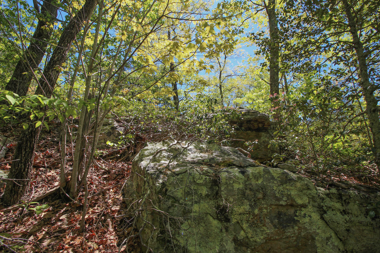 Lot 128 Bluff Mountain Road Sevierville, TN 37862 - Photo 7 of 15 3B8AED43-E918-44B1-89D1-9E5EE130D124