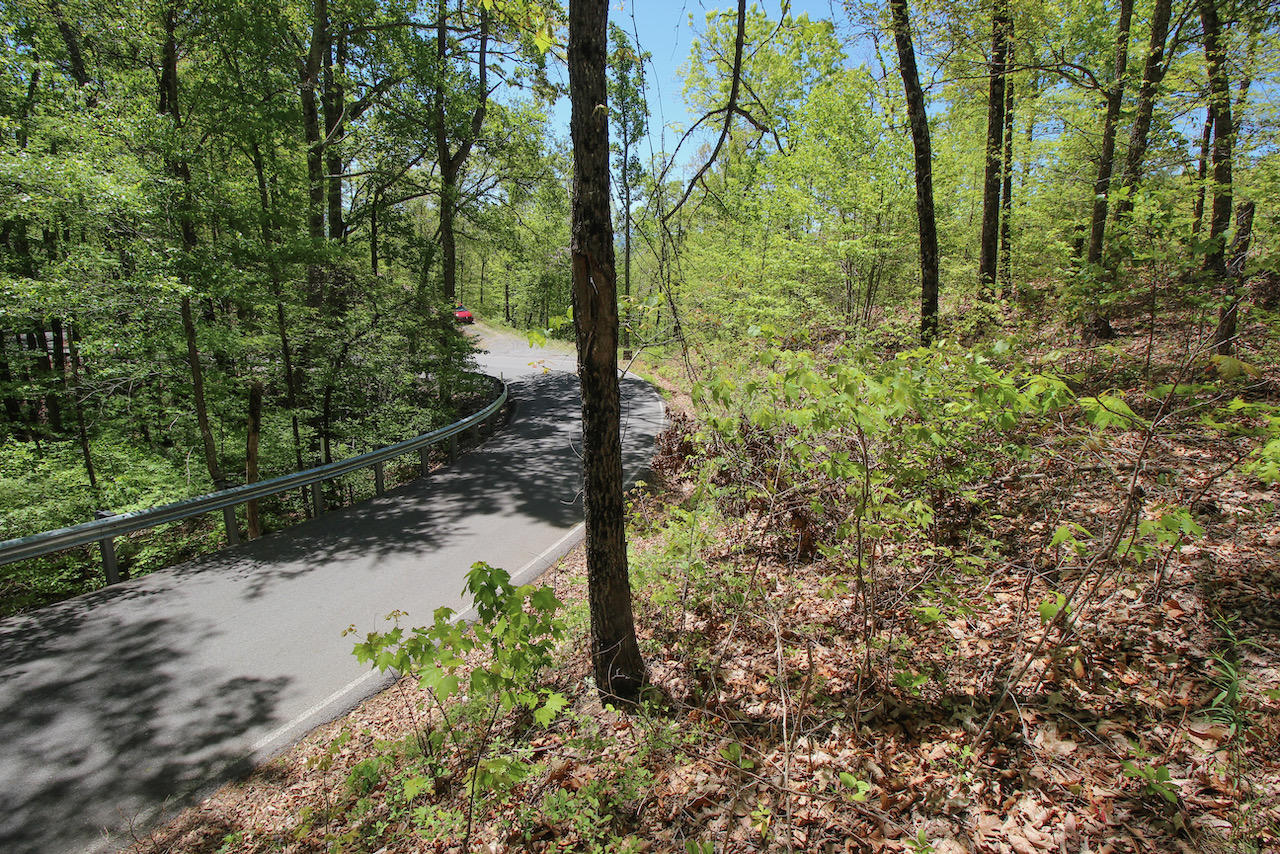 Lot 128 Bluff Mountain Road Sevierville, TN 37862 - Photo 8 of 15 0CDB4A66-C984-4304-BF5A-72667387B905
